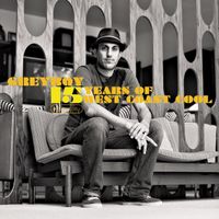 Greyboy - 15 Years of West Coast Cool