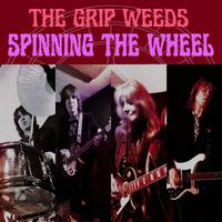 The Grip Weeds - Spinning The Wheel (Single)