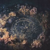 Joline Scheffler - Vesica Piscis