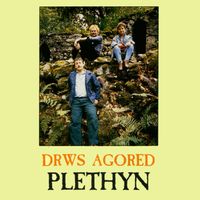 Plethyn - Drws Agored