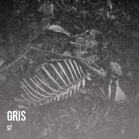 ST - Gris
