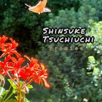 Shinsuke Tsuchiuchi - Promise