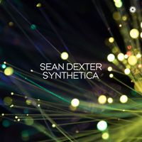 Sean Dexter - Synthetica