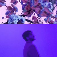 Alex Nothing - Purple
