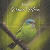 Spectr - Don't Move