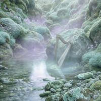 Silverwind Harps - Gentle Harp Music for Reading, Relaxation and Mental Clarity