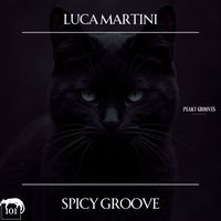 Luca Martini - Spicy Groove