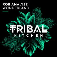 Rob Analyze - Wonderland