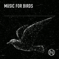 Alexander Gray and Robert White - Music for Birds