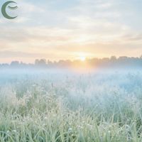 Dewdrop Dreams - Pearl Morning Piano