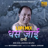 Mohammed Aziz - Dhass Jayee Rani (Lofi Mix)