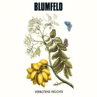 Blumfeld - Verbotene Früchte