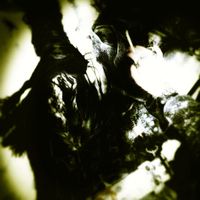 CRYTTXR - DERELICT