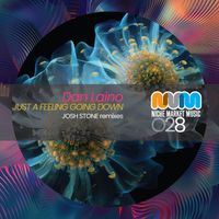 Dan Laino - Just A Feeling Going Down