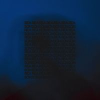 polarbear - Reason
