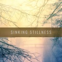 Field Notes Collective - Sinking Stillness
