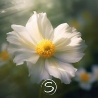 Soothly - First Bloom