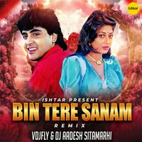 Kavita Krishnamurthy, Udit Narayan - Bin Tere Sanam (Remix)