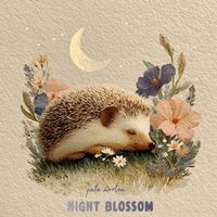 Pete Morton - Night Blossom