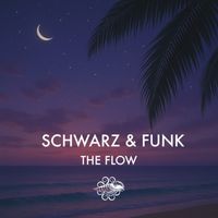 Schwarz & Funk - The Flow