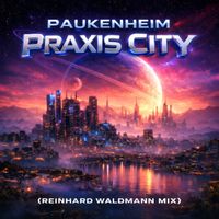 Paukenheim - Praxis City (Reinhard Waldmann Mix)