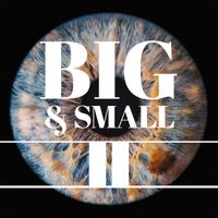 The Paradox - Big & Small II