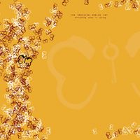 The American Analog Set - Everything Ends In Spring