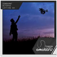 Sunburnt Octopus - Letting Go