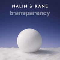Nalin & Kane - transparency