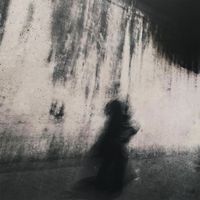 nosense - 2024