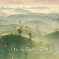 Lysergik - Like a Tuscany Field