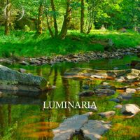 Vincent - Luminaria