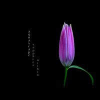 Aquascape - Sapphire Within