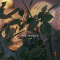 Suki - Maybe the day I let you go