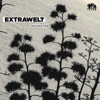 Extrawelt - Moonster