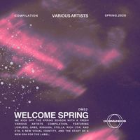 Lowjess - Spring Breakers