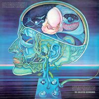 Clearlight - Symphonies: The Collected Recordings