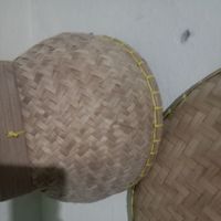 YUNITA - Di ranting tertinggi