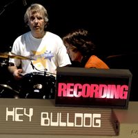 Chris Stamey - Hey Bulldog (Cover)