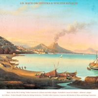 Walter Rinaldi & J.S. Bach Orchestra - J.S. Bach: Air On The G String, Violin Concerto in A Minor and Oboe Adagio - Pachelbel: Canon in D Major - Albinoni: Adagio in G Minor - Rinaldi: Works for String Orchestra - Vivaldi: Cello Concerto, Concerto Alla Rustica & Oboe Concerto (2026 Remaster)
