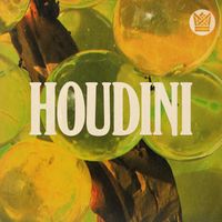 Marco Benevento - Houdini