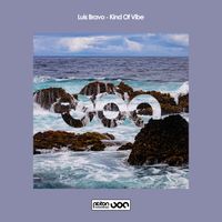 Luis Bravo - Kind of Vibe