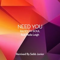 Random Soul - Need You (Sebb Junior Extended Mix)