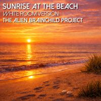 The Alien Brainchild Project - Sunrise at the Beach (White Room Version)