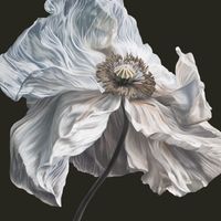 Quicksand - Crystallize