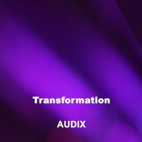 AUDIX - Transformation