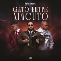Urbanda - Gato Entre Macuto