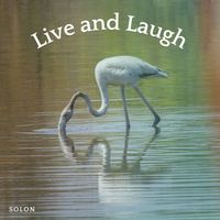 SOLON - Live and Laugh