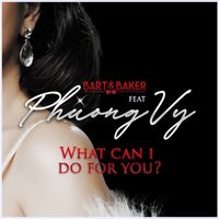 Bart&Baker - What Can I Do for You? (VietSwing Version)