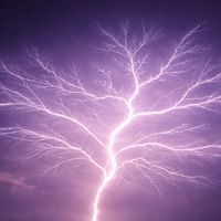 James Bright - Electricity & Wood